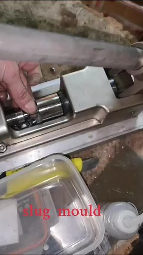 slug mould trên TikTok