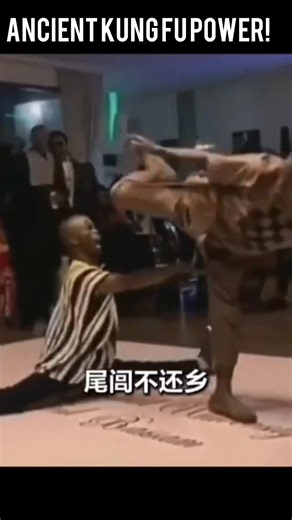 Traditional Kung Fu Master Shocked Everyone! 🥋⚡ #kungfu
