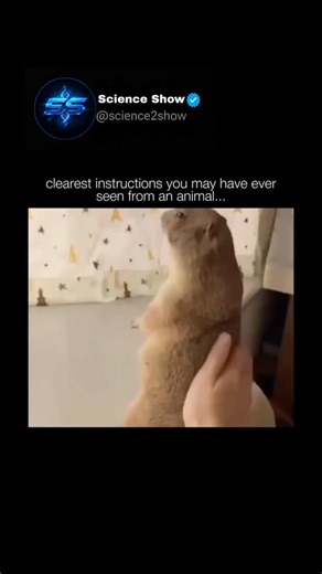 Science & Tech videos 🧬 on Instagram: "Animals are living organisms that belong to the kingdom Animalia. They are multicellular, meaning their bodies are made up of many cells, and they are heterotrophic, which means they rely on consuming other organisms—plants, animals, or both—for energy rather than producing their own food like plants do. Most animals can move at some point in their lives, have specialized sensory organs, and respond actively to their environment. They come in a vast range