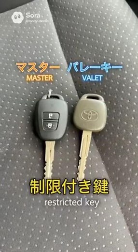 One key is a different color – a "gray key" – why the trunk won't open. #valetkey #carkey #trivia...