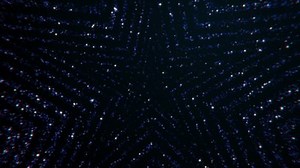 clip-1008977438-particles-loop-background