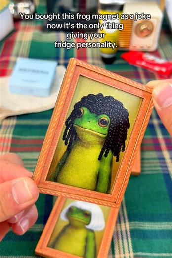 You bought this frog magnet as a joke now it's the only thing giving your fridge personality.