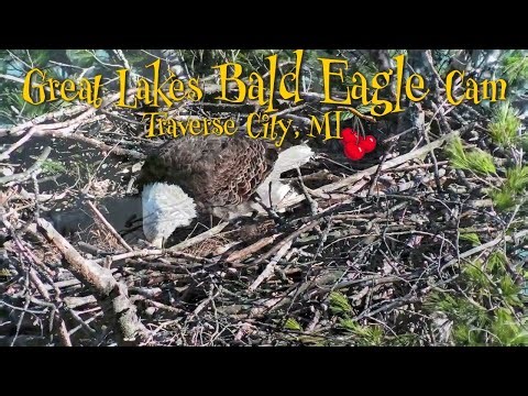 Top Eagle Moments of the Week | Apr 4–Apr 10, 2026