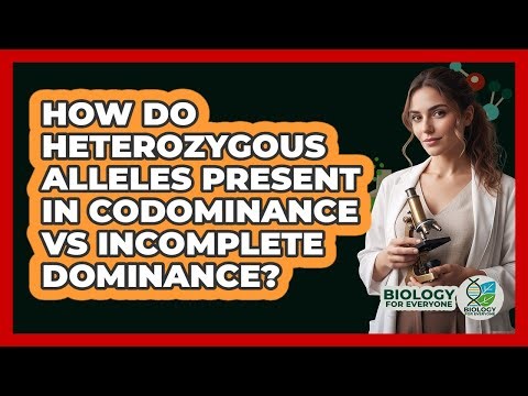 How do heterozygous alleles present in codominance vs incomplete dominance?