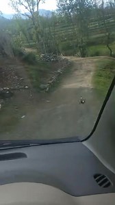 Plot for sale total area 4 kanal location Shaderai Swat contact 92 346 9884801 | Swat Property Centre & Builder