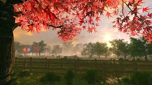 Landscape, Countryside, Sunrise. Free Stock Video