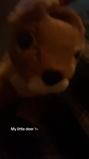 :///-str8wber3yshor1cake (@strawberryshortcake70077)’s videos with original sound - ➴☆