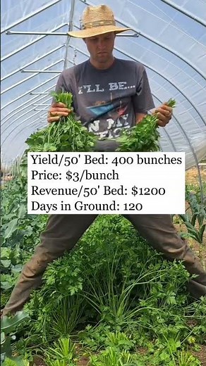 5 High Profit Crops for a Small Farm #Farming #Gardening #Business #Income #Land