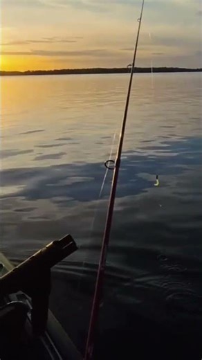 A few sample clips taken after Bleequp Ranger firmware update. #Bleequp Firmware update #Bleequp