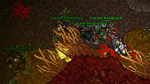 Hunt for Paladins level 30  in Tiquanda Corym Cave | Intibia