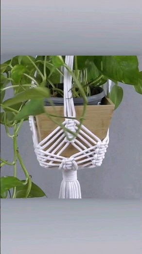 Square Knot Plant Hanger DIY #macrame