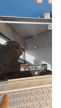 frown's crazy videos dies in Minecraft Java edition