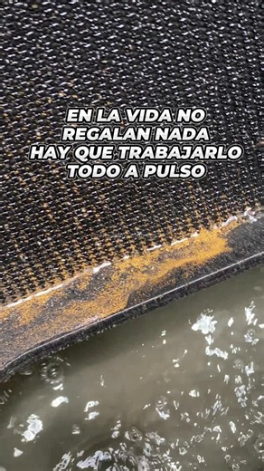 División Colombia • Minería Aluvial on Instagram: "😎 Trabajar duro por algo que amamos se llama pasión 🤩 👉🏼 Para recibir más información, contáctanos a través de nuestros WhatsApp 📲+57 318 3466211 | +57 317 372 0019 | +57 315 234 2572 | +57 317 668 7537 Ingresa a nuestra página web 🌐 divisioncolombia.com o visítanos en📍Cra 57 # 2B - 51 en Medellín, Colombia"