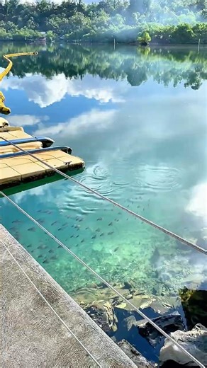 Mangrove Bay - Pohnpei, Micronesia #pacificocean #island #travel