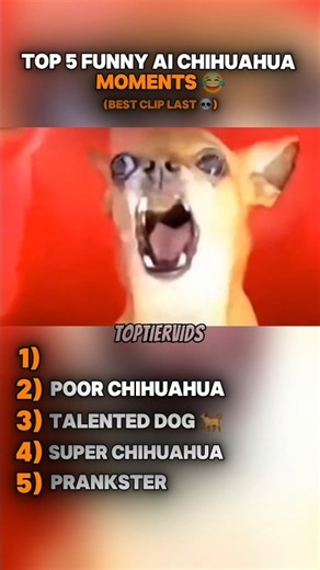 Wait For It... Top 5 CRAZIEST AI Chihuahua Moments! 🐕 #shorts #chihuahua #soraai #TopTierVids #funny