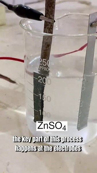 Electroplating in action ⚡🧪 Iron (Fe) is coated with zinc (Zn) using a ZnSO₄ electrolyte. At the anode: Zn(s) → Zn²⁺ 2e⁻ (oxidation) At the cathode: Zn²⁺ 2e⁻ → Zn(s) (reduction) The “scratches” you see on the zinc metal are actually zinc atoms dissolving into the solution. That’s electrochemistry happening right before our eyes! #electrochemistry #electroplating #chemistrylab #STEMeducation #chemistryexperiment