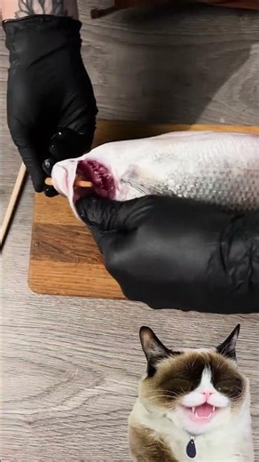 Unbelievable hacks tested! 😁 Egg flashlight, Fish cleaning with chopsticks, Mixer zucchini hole