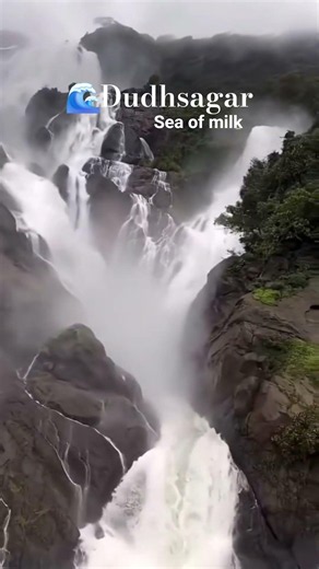 🌊 Dudhsagar Waterfall – The Sea of Milk | Goa's Most Breathtaking Waterfall 🇮🇳 #dudhsagarwaterfalls