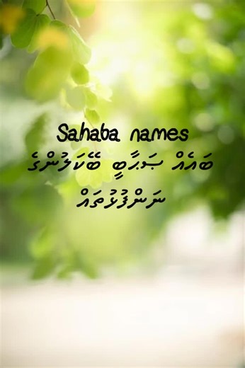 Umm Rayyan on TikTok