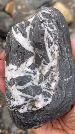 Beach Combing: Finding Natural Abstract Art..#oman #stone #stonecollection