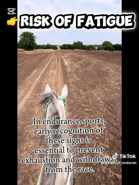 Identifying Early Signs of Dehydration in Horses