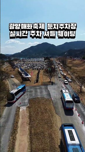 광양매화축제 둔치주차장 🚗🚌 주차 셔틀 실시간상황