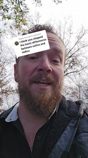 Understanding Terpene Profiles for Optimal Effects