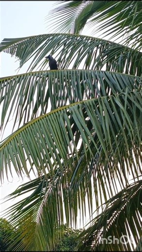 ♥️🏠A day in my life evening routine 4pm to 6pm#minivlog #shortvideo