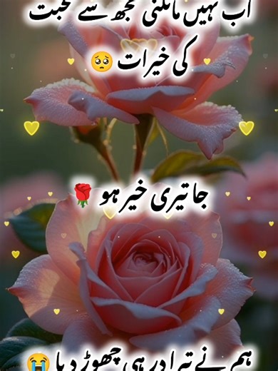 Understand the TikTok Views Problem Effectively