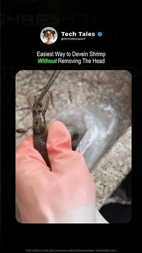 Secret Trick to Clean Shrimp, Fast and Clean!