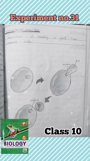 Class 10 Biology Practical Notebook Drawings | #biology #fbise
