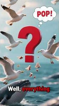 They Blew Up a Whale… And Regretted It Instantly