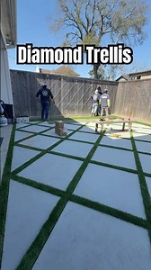 Wired Diamond Trellis for Star Jasmine Green Wall