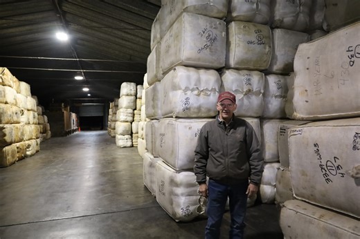 Center of the Nation Wool navigates a struggling wool market with declining sheep numbers