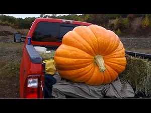 20 lbs of Tannerite vs. Giant 425 lb Pumpkin