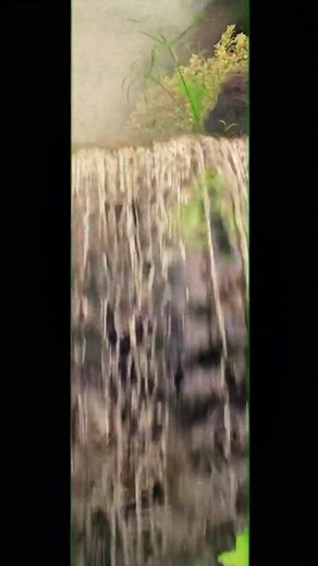 Acapulco video out now 🐍_R #jasonderulo #jasonderulosongs #jasonderulolyrics #jasonderuloyoutube #jasonderulom