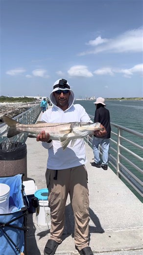 Giant snook try to cut me couple times but managed to get him out #snook #tarpon #pierfishing #fish #shimano @Fishing with Khaled @mainstreetmaniacFISHING @Netmanjettyfishing