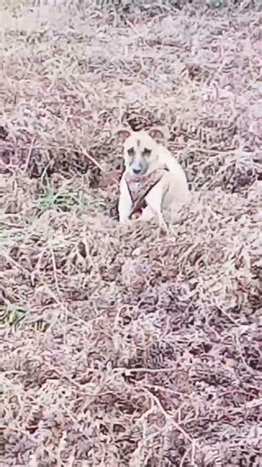 HE LOVE NATURE ALSO.🙏🙏