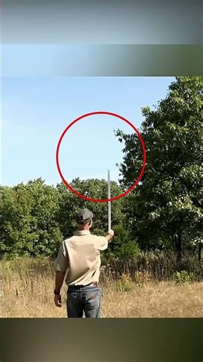 😳🌳 Measure a Tree’s Height with Just a Stick 😳🌳 Trending