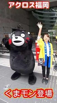 【ショート動画】アクロス福岡にくまモン登場！ #くまモン