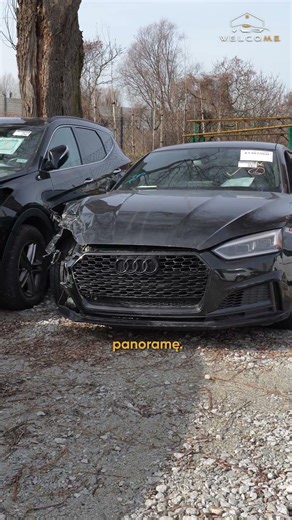 Audi S5 Sportback 2018 #audi #s5 #importzusa