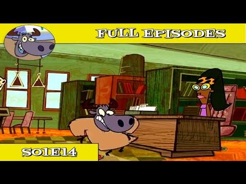 Yakkity Yak - S01E14 - Darn-it Dog