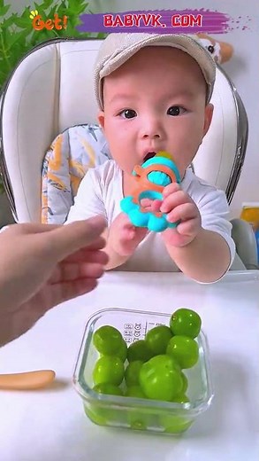 Baby Fruit Feeder Pacifier Frozen Fruit Treats to Calm Teething Pain #baby