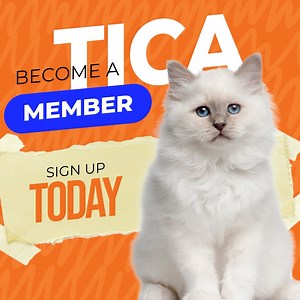 🐾 Join TICA – The Most Progressive Cat Association in the World! 🐾 Are you a cat lover, breeder, exhibitor, or just someone who admires feline beauty? Then it’s time to become a TICA Member and be part of the world’s largest genetic registry of pedigreed and household pet cats! By joining TICA, you’ll gain access to exclusive membership benefits, including: ✅ “My Cat” Profile – Keep all your cat’s important details and documents in one place with My Files. ✅ Breeder Listing – Get featured on T