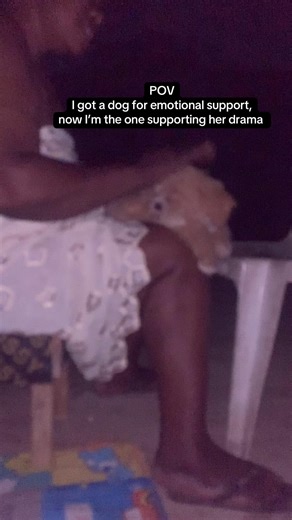 Emotional Support Dog Drama: My Lhasa Apso's Antics