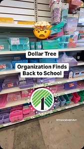 36K views · 3K reactions | Dollar Tree has ALL OF THE ORGANIZATION...