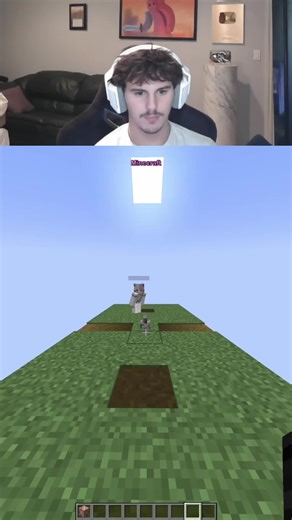 Minecraft Truth or Lie Challenge: Test Your Knowledge!