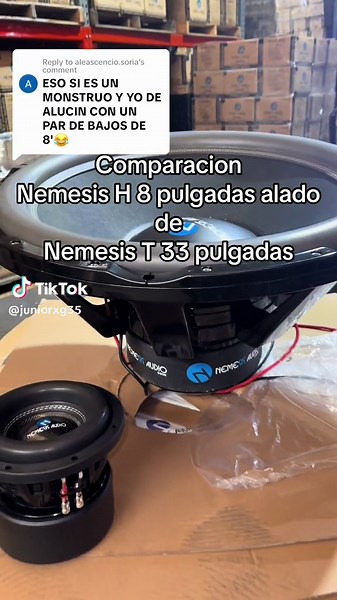 33 Inch Subwoofer - Nemesis Audio Comparison and Dealership Opportunities
