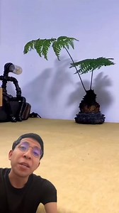 El acuario perfecto para el pez betta | Acuarios de Tehuacán