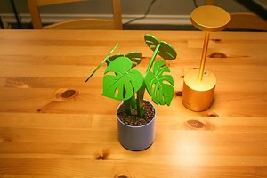 Monstera Plant, 3D Printed Plant, Magnetic Leaves, Fake Plant, Detachable Leaves, Forgecore, Coasters - Etsy